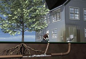 Removing Roots in Sewer Line with Rootx Removing Roots in Sewer Line with Rootx